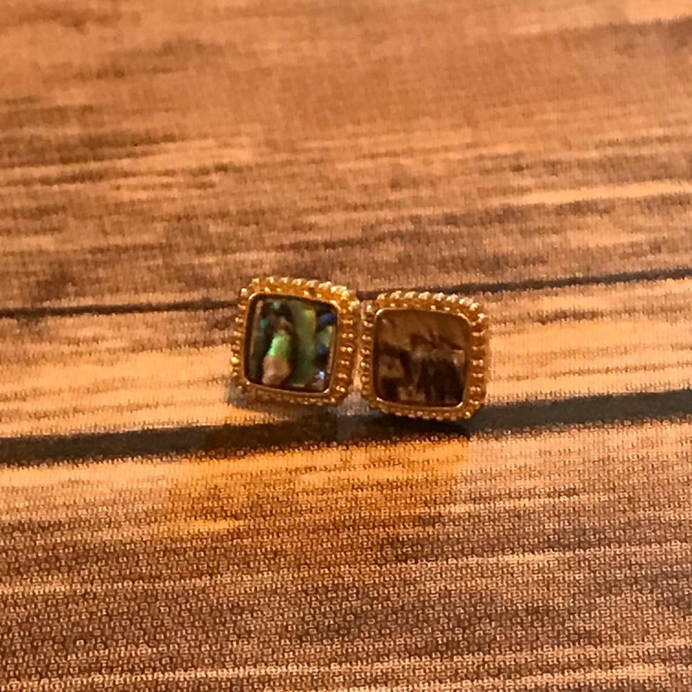 Fluid Color Earrings